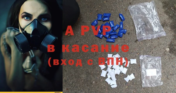 гашик Абаза