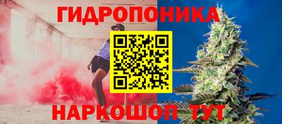 мяу мяу мука Северобайкальск