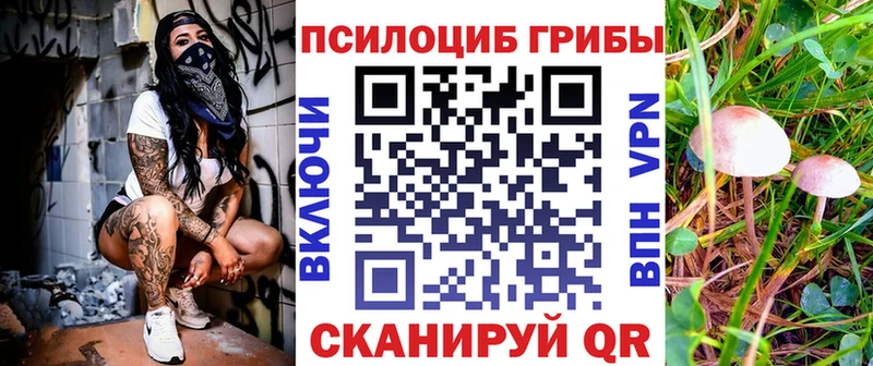Псилоцибиновые грибы Psilocybine cubensis  Юрга 
