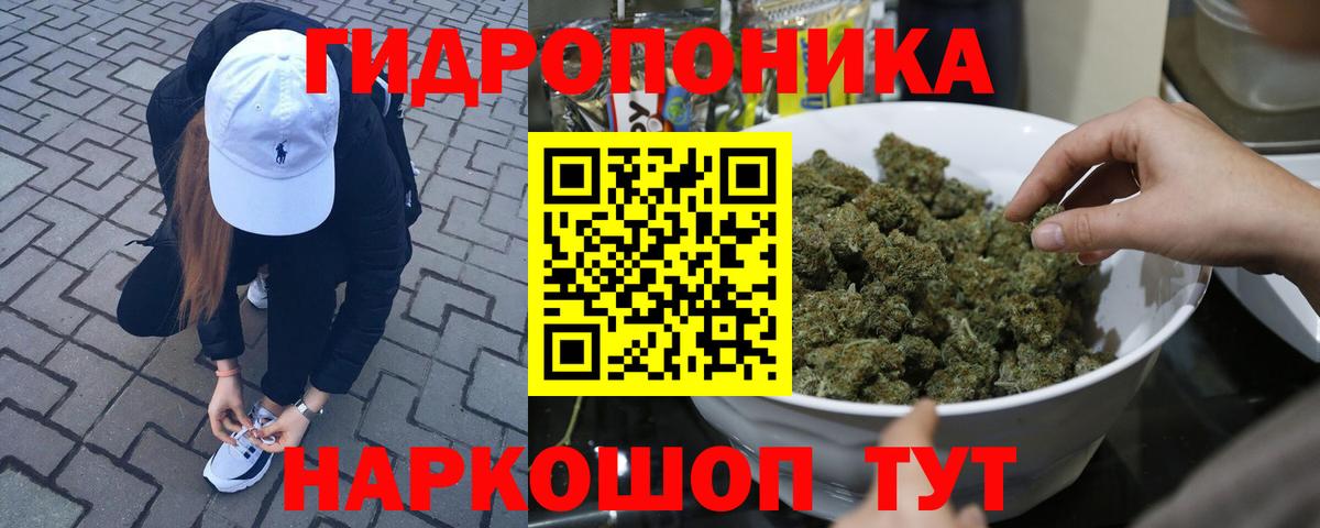 Бошки марихуана THC 21% Юрга